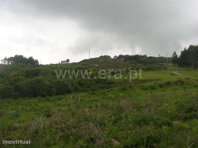 Quintinha / Marco de Canaveses, Penhalonga e Paços de Gaiolo - Grande imagem: 4/10