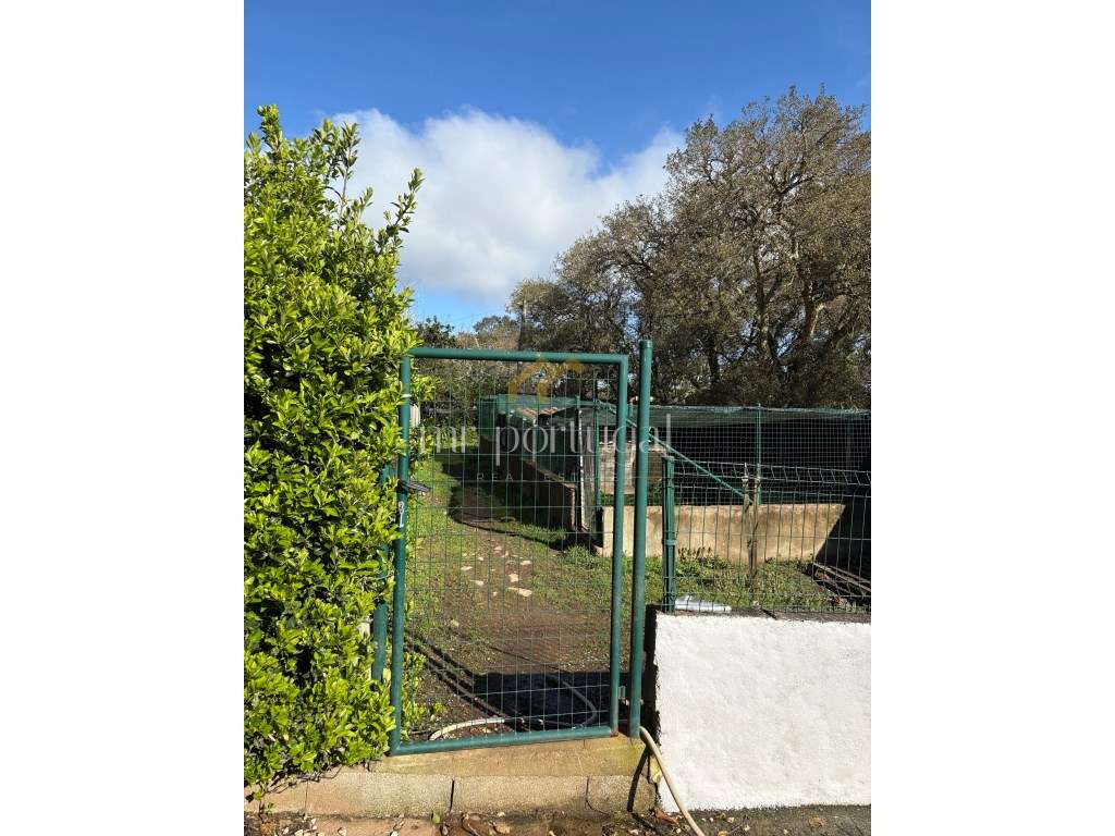 Quintinha em Mafra com 5.375m² | Moradia T2 + Potencial de Construç...-11