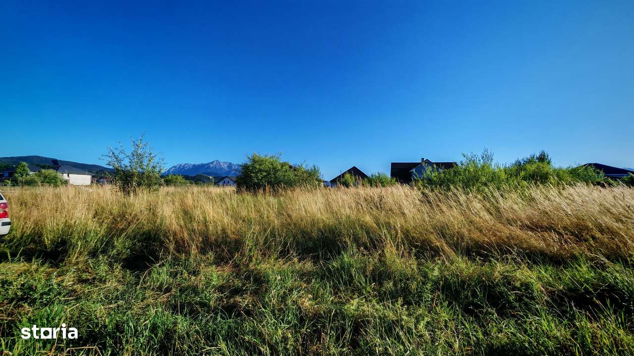 Teren intravilan 1000 mp pt construcții case Cristian str Nisipului-2