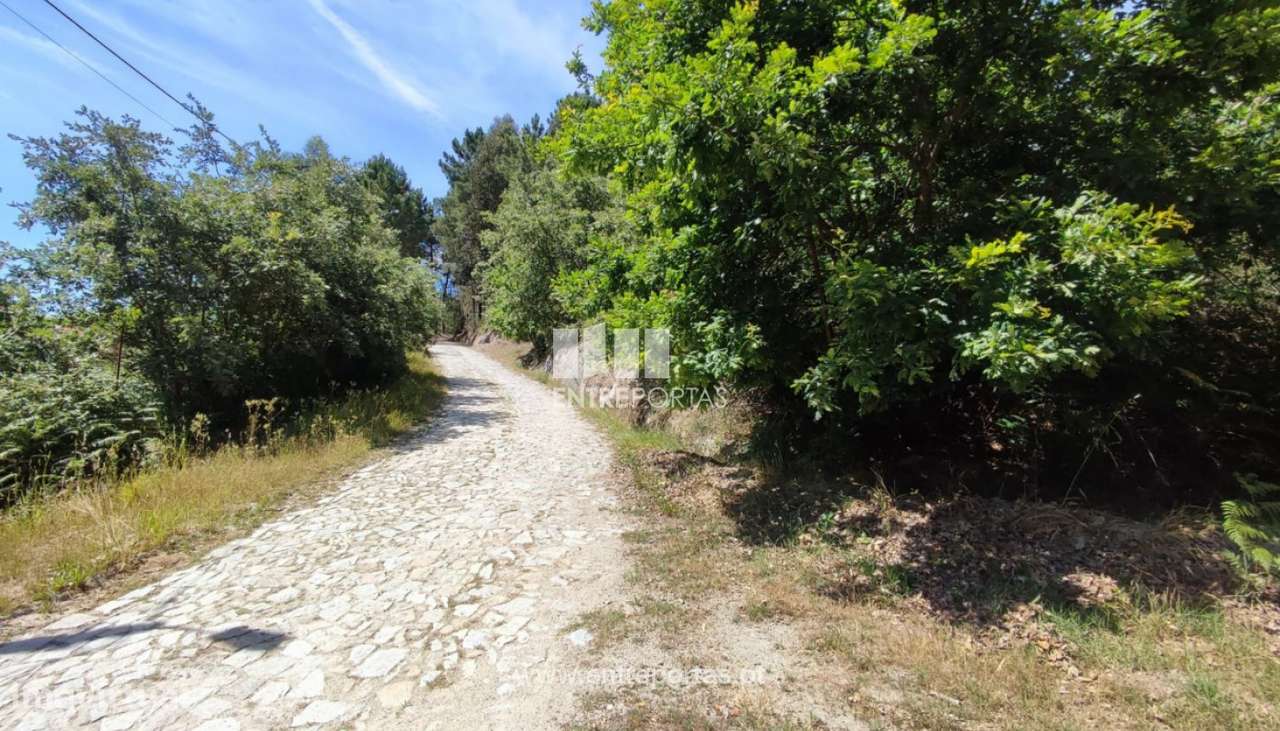 Venda Terreno com 58155m2, Soalhães, Marco de Canaveses - Grande imagem: 5/34