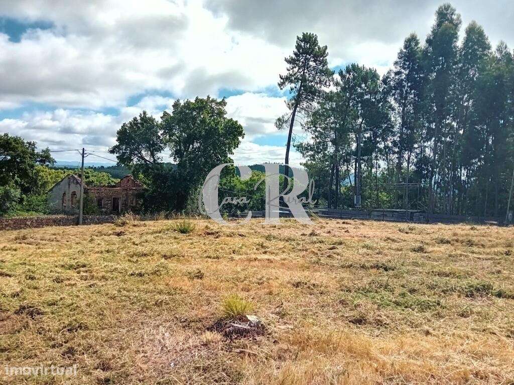 Terreno Rústico em Bairradas, Figueiró dos Vinhos, com viabilidade par - Grande imagem: 5/12
