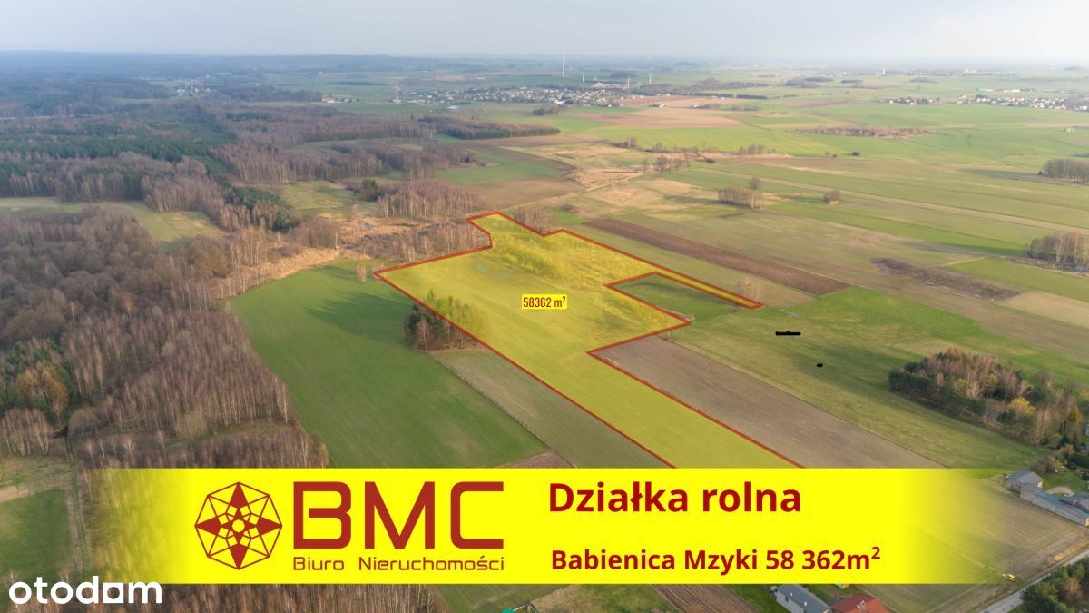 Działka rolna 5,83ha Babienica Mzyki