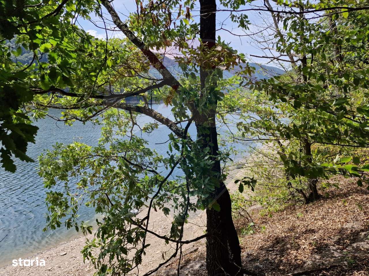 Teren intravilan cu deschidere la lacul Tarnița - Imagine principală: 4/6