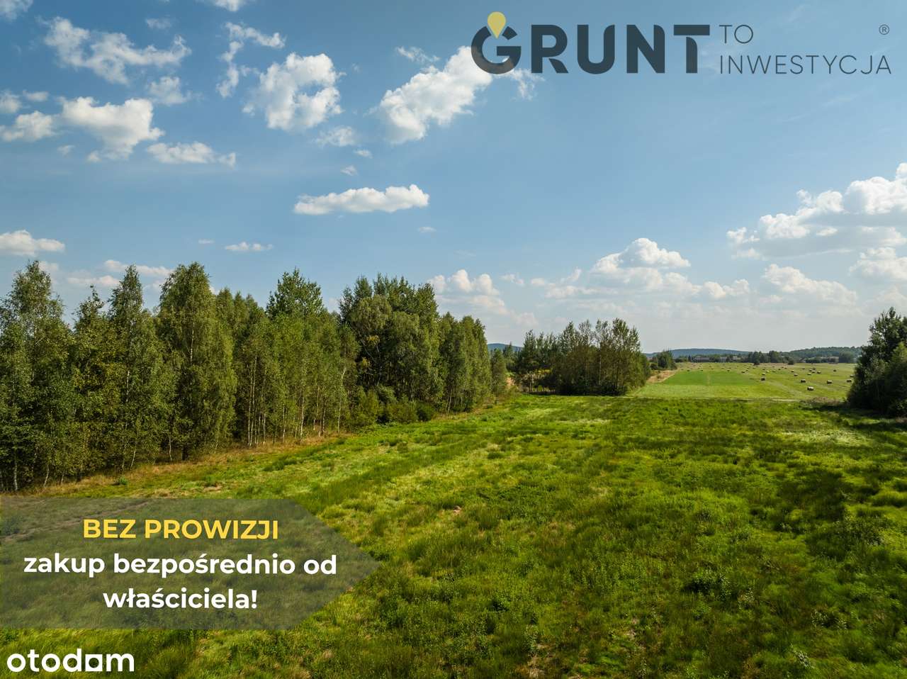Nowość! Kompleks działek budowlanych pośród lasu - Pełny obrazek: 5/12