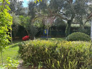 Moradia T4 com piscina, jardins, canil e anexos em Salvaterra de Magos - Grande imagem: 4/30