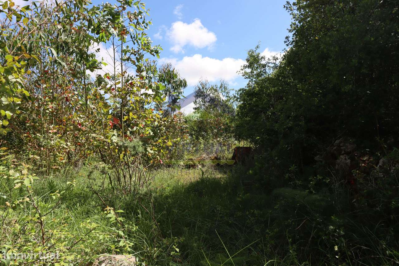 Terreno Rústico c/ 16.520 m2 Reguengo Pequeno - Lourinhã-15