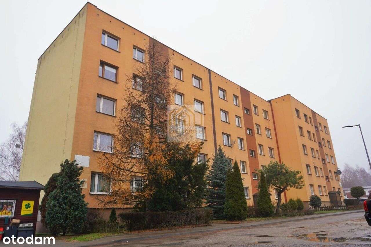 3 Niezależne Pokoje W Top Lokalizacji ! - Wojkowic-0