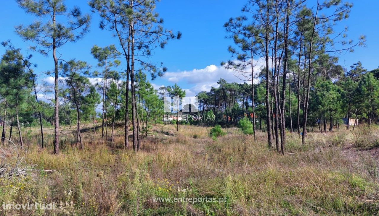 Venda de terreno agrícola com 14.700m², Chafé, Viana do Castelo