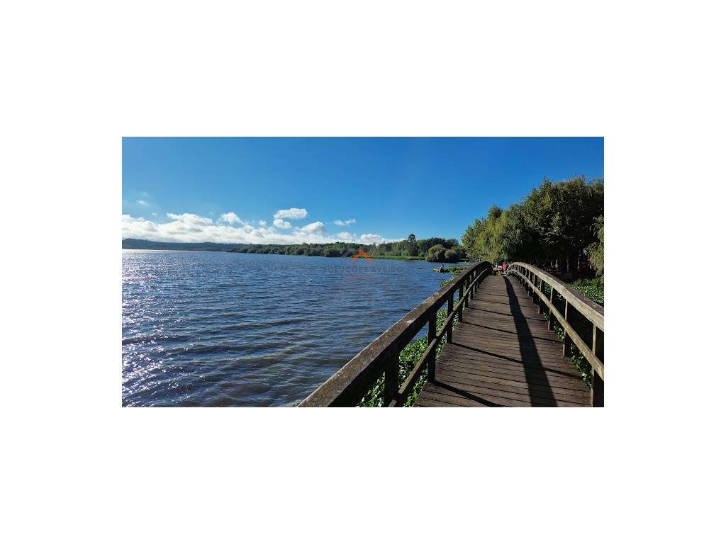 Restaurante na Pateira! - Grande imagem: 5/15