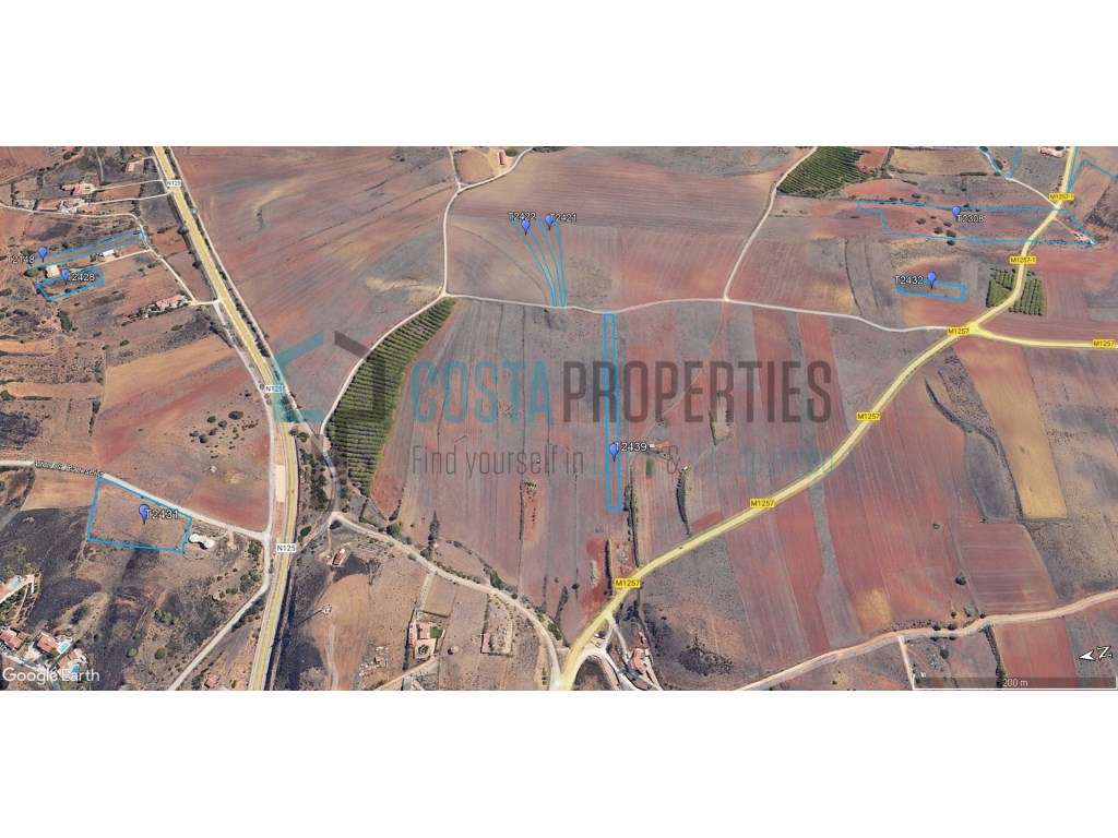 Terreno Rústico de 3.400m² com Potencial Agrícola na Raposeira - Grande imagem: 4/21