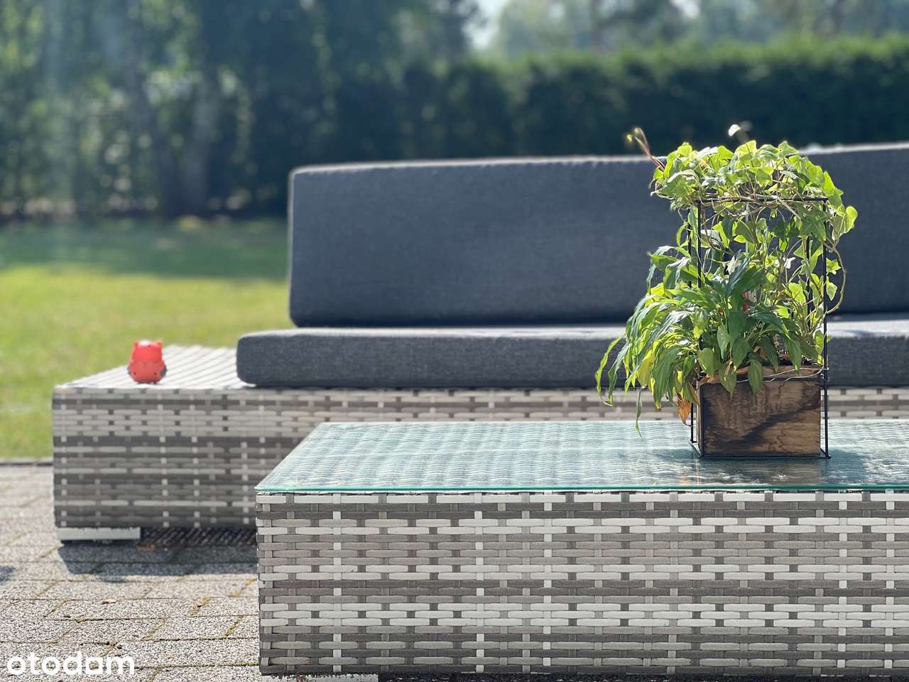 Nowoczesny dom pod lasem | Blisko PKP | Meble w cenie-10