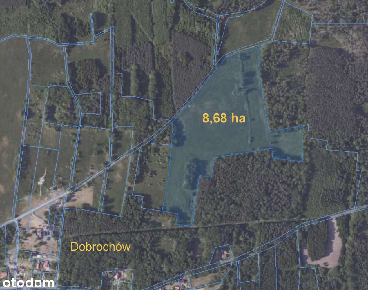 Malownicza Działka rolna 8,68 ha - Dobrochów, Powiat Żary - Pełny obrazek: 5/11