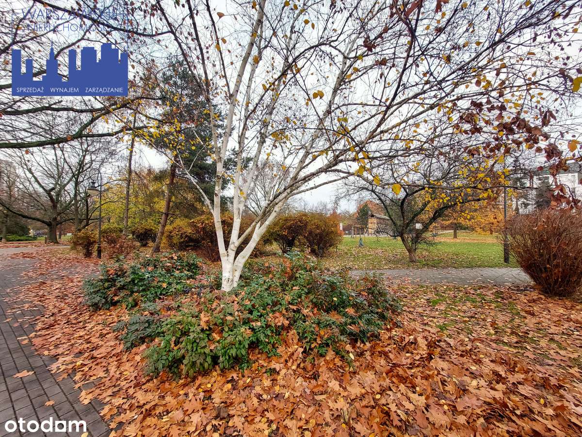 Czteropokojowe przy metrze Stokłosy, z potencjałem-18