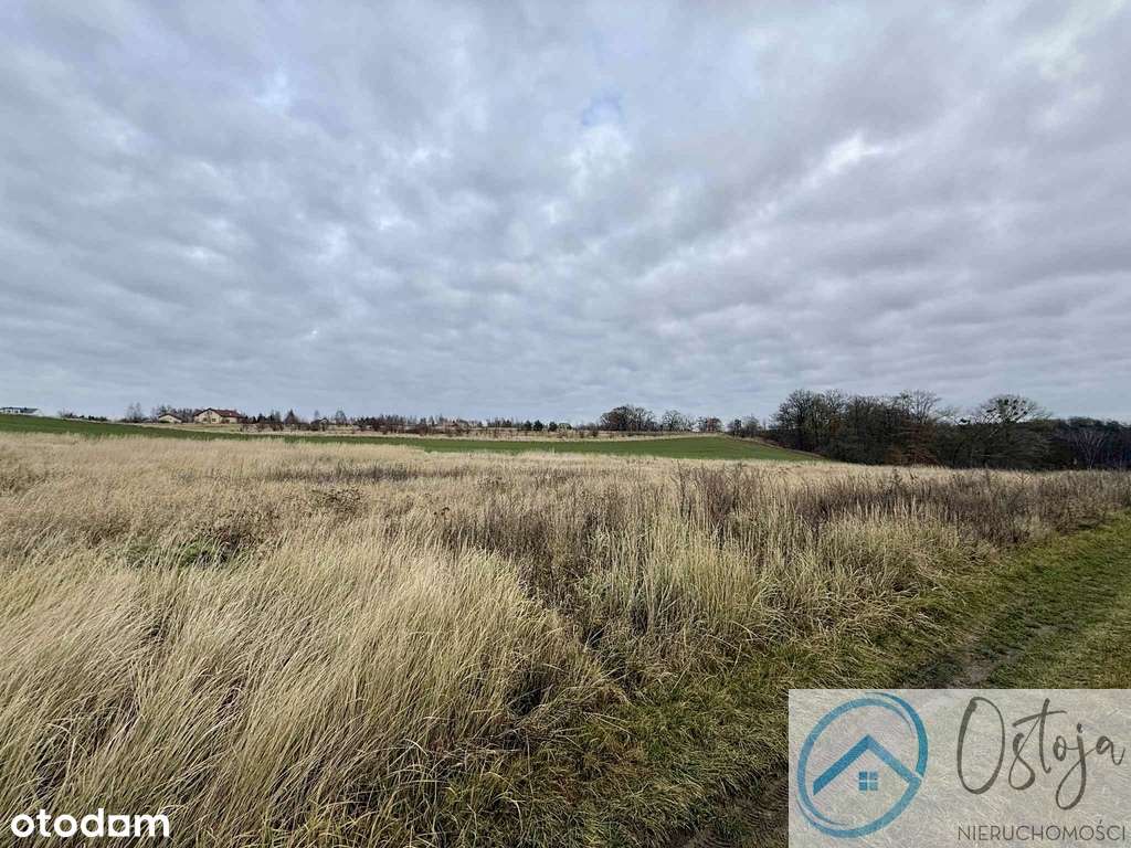 Działka w Kamieńcu, spokojna i zielona okolica - Pełny obrazek: 4/4