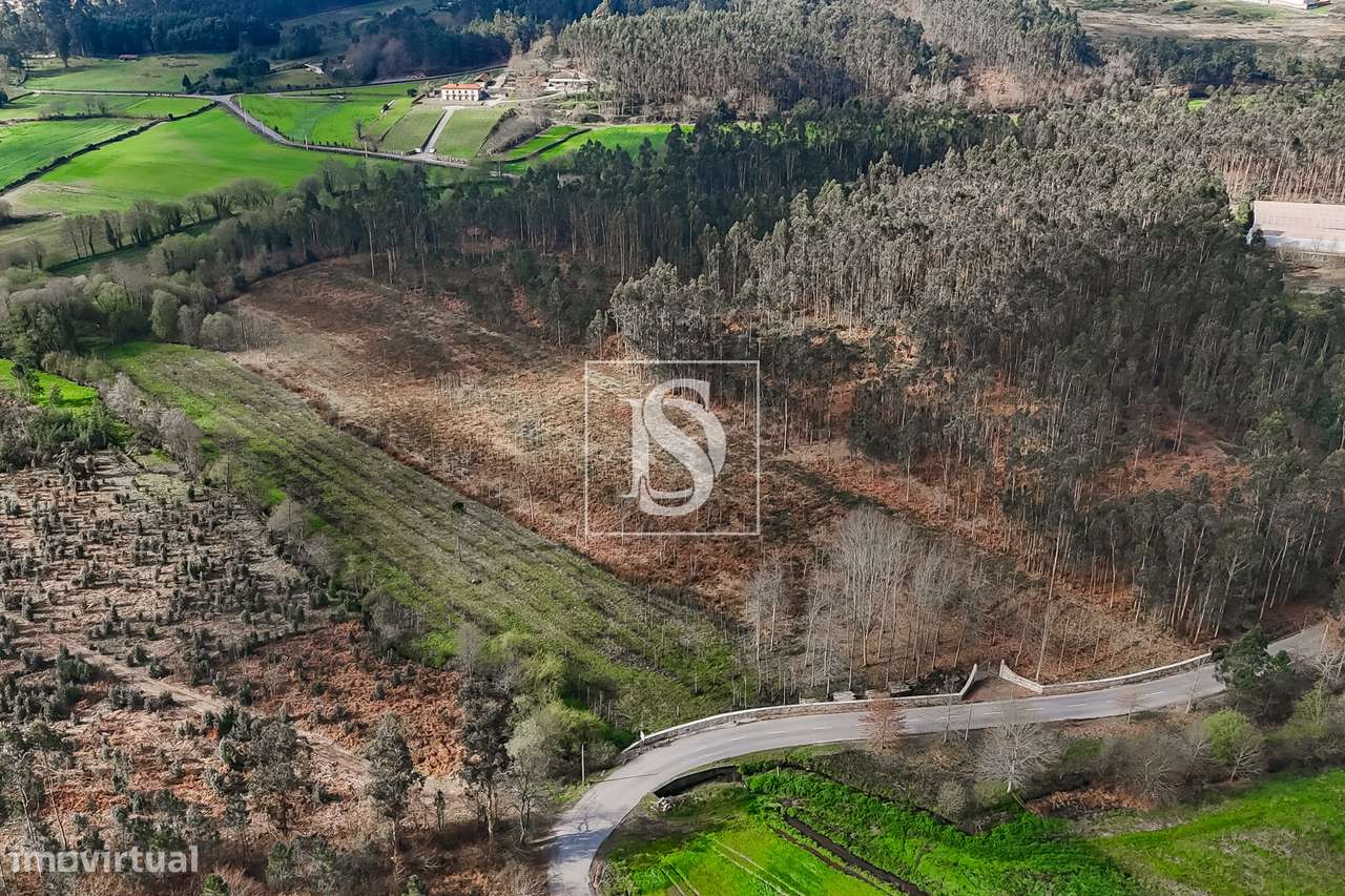 Terreno Rústico  Venda em Associação de freguesias do Vale do Neiva,Po-14