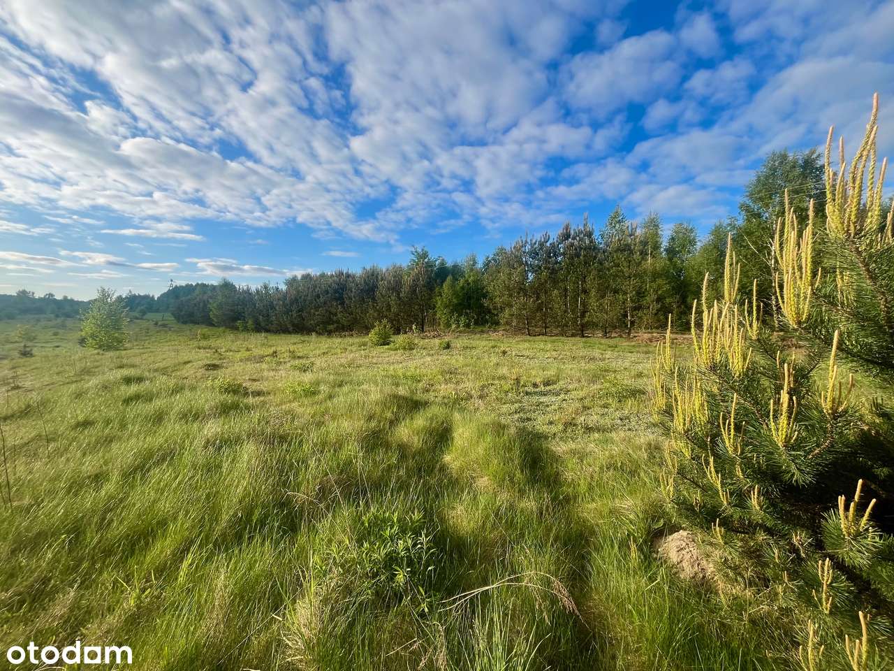 Działka budowlana - Czostków-8