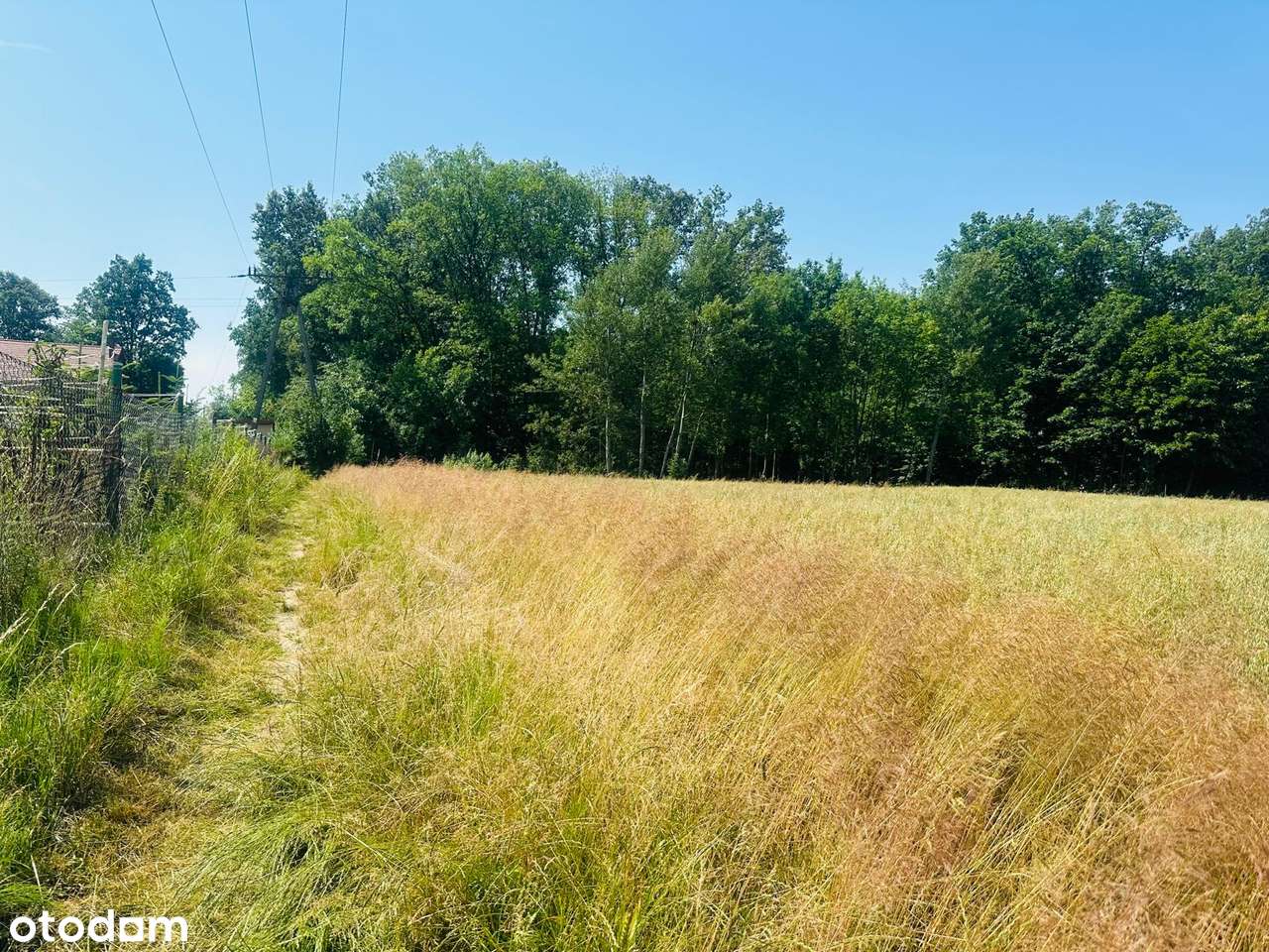 działka budowlana  z mediami pod lasem-11