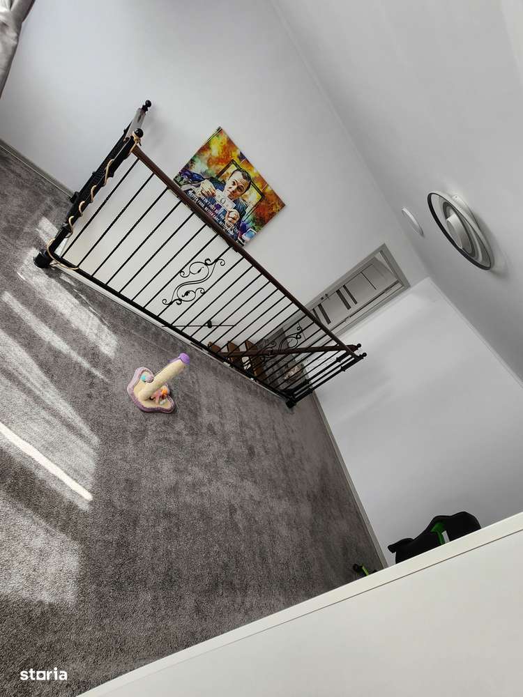 Casa Ionita Sandu Sturza BACAU - Imagine principală: 4/20