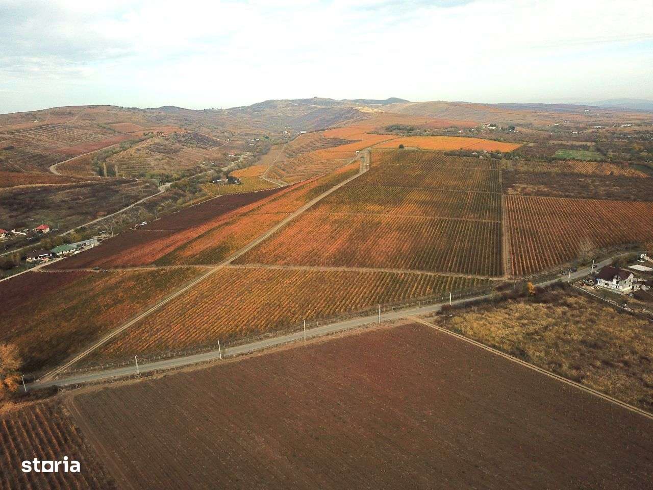 Podgorie de vita-de-vie nobila cu conac boieresc - Imagine principală: 1/10