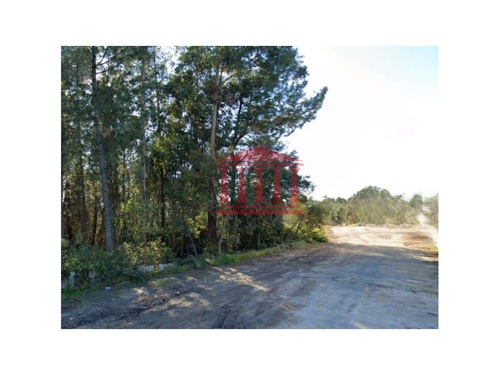 TERRENO INDUSTRIAL - Grande imagem: 4/6