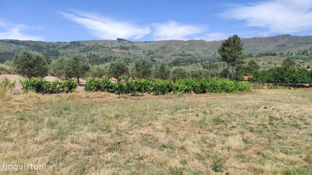 Quinta na Beira Alta (5 hectares) - Água Própria,  Excelentes Acessos - Grande imagem: 2/5