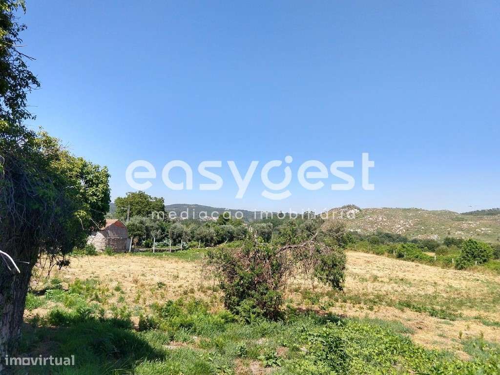 Terreno para Construção com Ruína localizada na Freguesia de Bodiosa - Grande imagem: 4/8