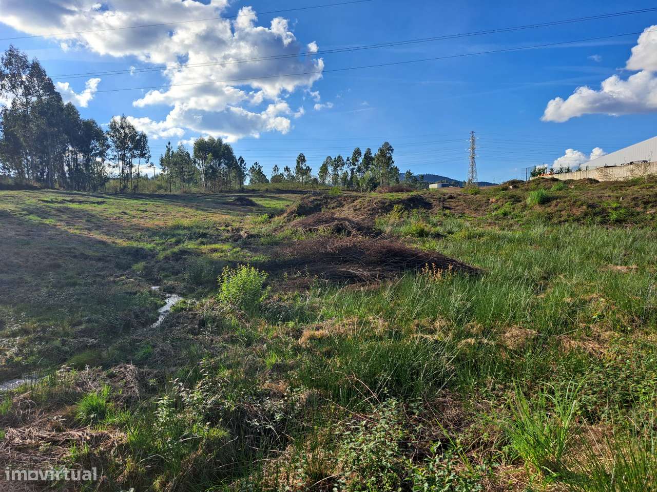 Terreno Industrial 9000m2 - Grande imagem: 5/7