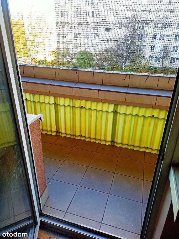 3 pokojowe z potencjałem-8