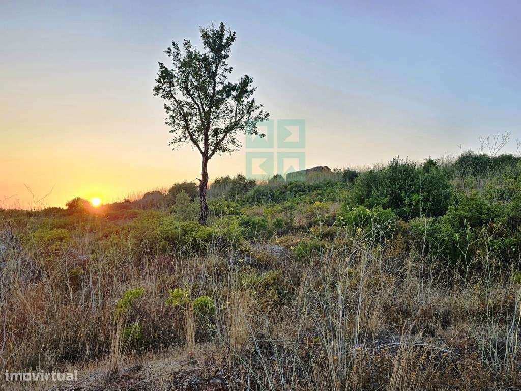 Quinta com 435.487 m2 na Serra da Arrábida, em Palmela, Setúbal-9