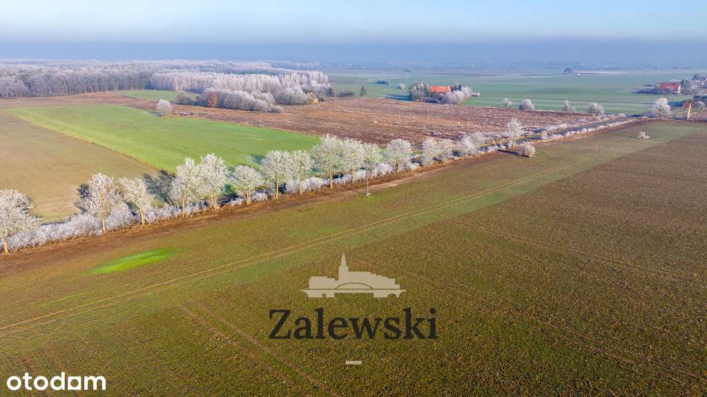 Działki budowlane w Marwicach - Pełny obrazek: 5/7