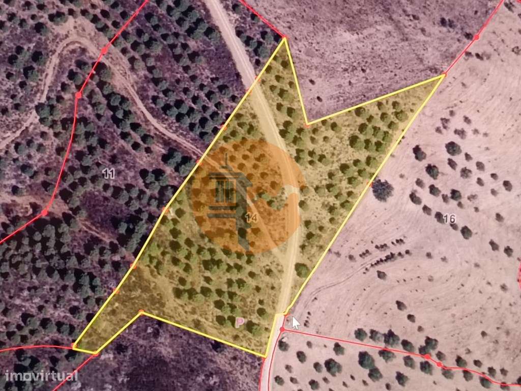 TERRENO RUSTICO COM 12.200 M2 - AGUA E LUZ - PRÓXIMO A FOZ DE ODELE... - Grande imagem: 2/22