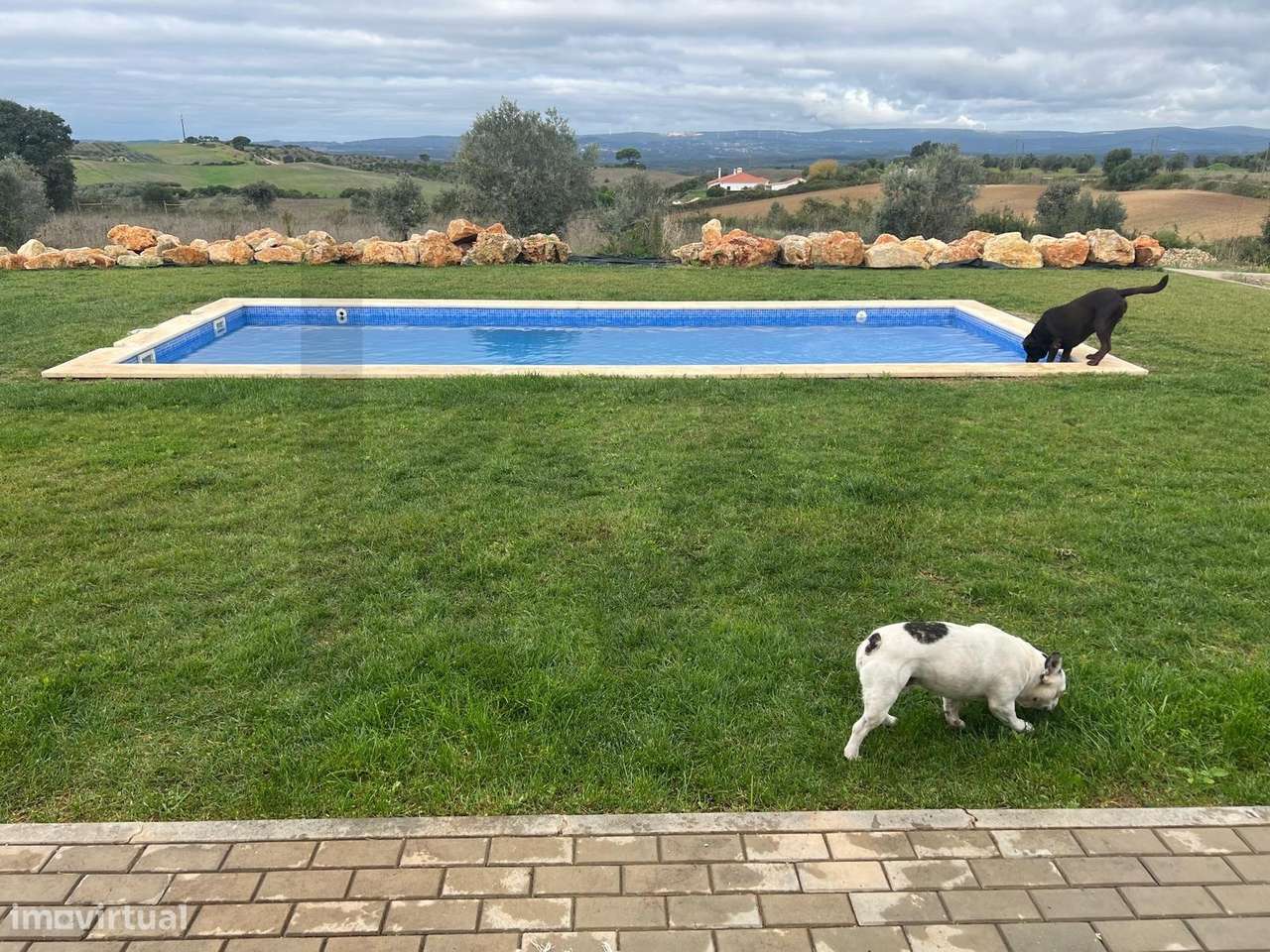 Venda moradiia T3 com terreno de 11.520m2, Isolada com piscina em A - Grande imagem: 2/39