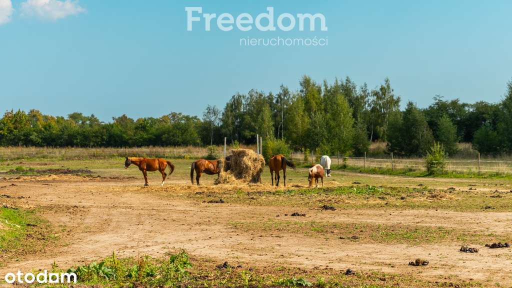 Kleszczewo- Twój przyszły adres biznesowy. - Pełny obrazek: 5/8