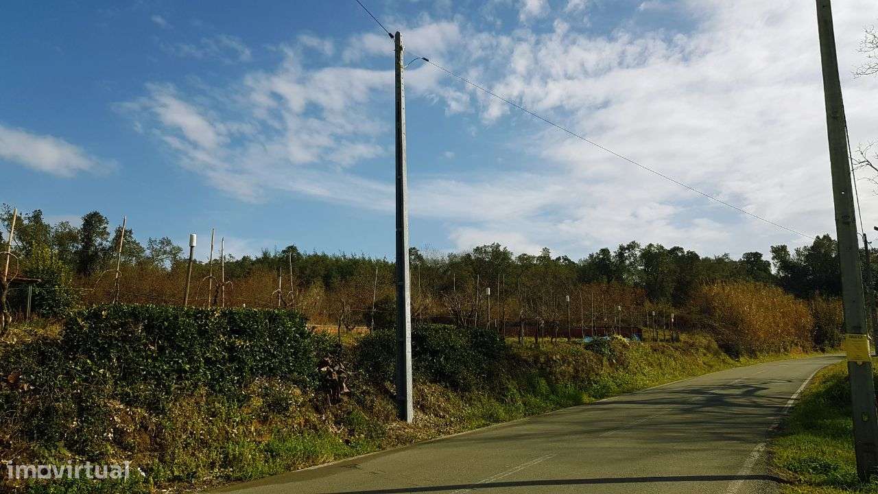 Quinta na Bairrada-7