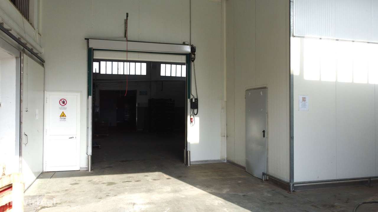 Armazém Industrial com Câmaras Frigoríficas – Lourinhã-5