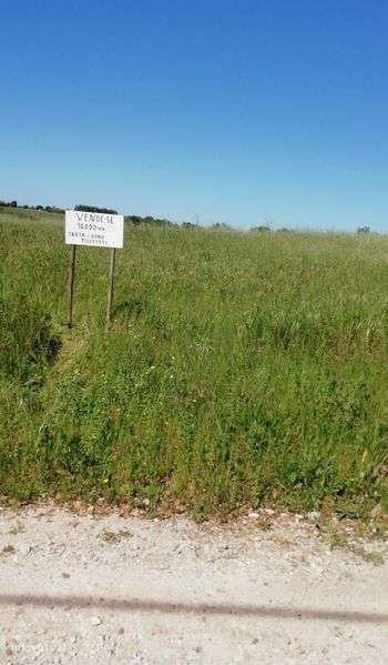 Terreno 10.000 m2 Santarém - Grande imagem: 3/6