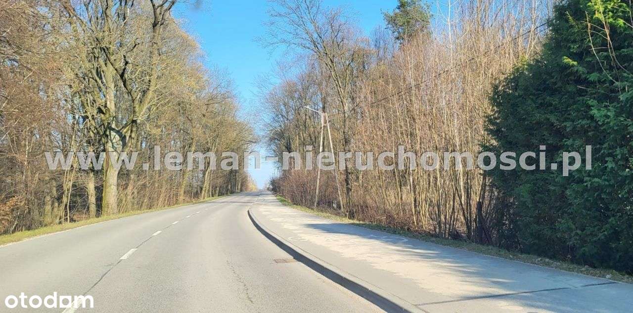 Działka, 5 539 m², Ryki-5