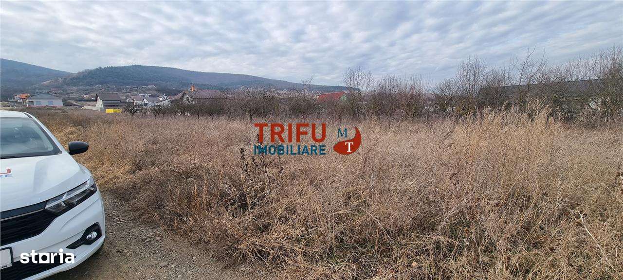 Teren intravilan 350 mp de vanzare Alba Micesti cu toate utilitatile - Imagine principală: 3/5
