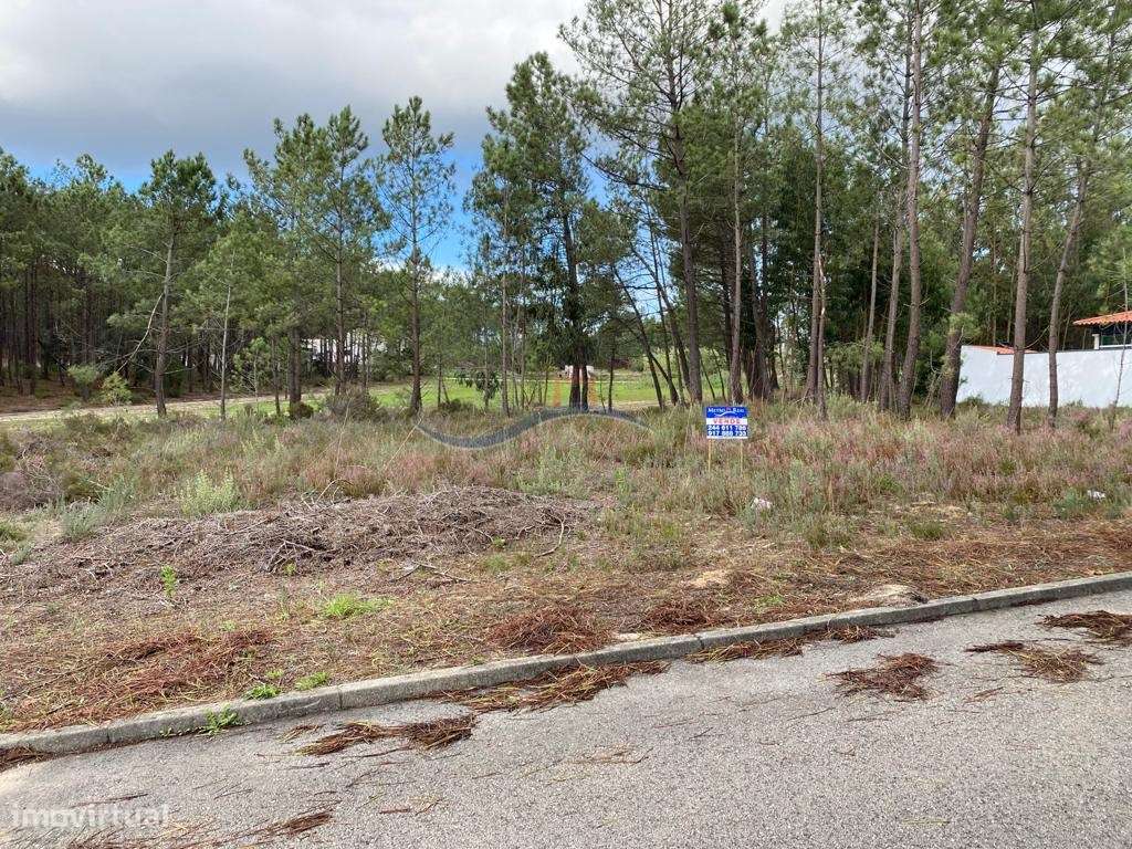 Terreno - Amor, Leiria - Grande imagem: 5/13