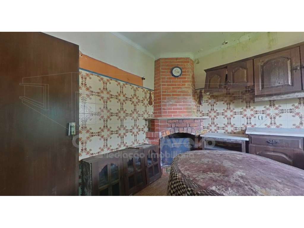 Quinta com 5.000 m2 e casa habitação T5 em Águeda-3