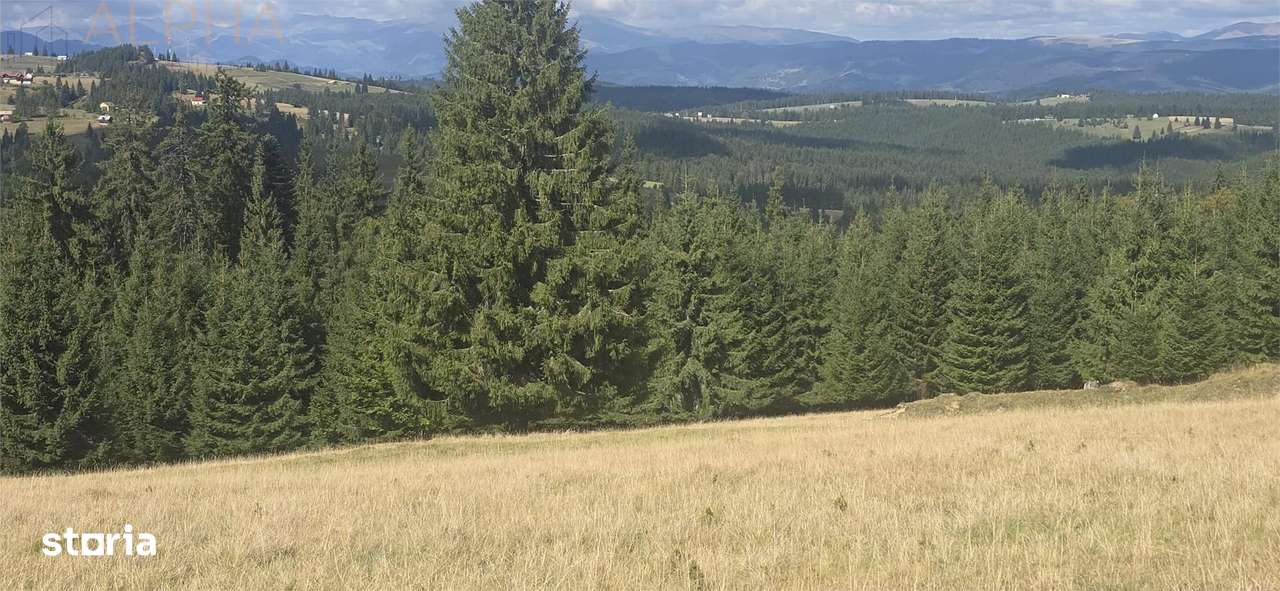 Teren intravilan cu priveliste spectaculoasa - Piatra Fantanele - Imagine principală: 4/6