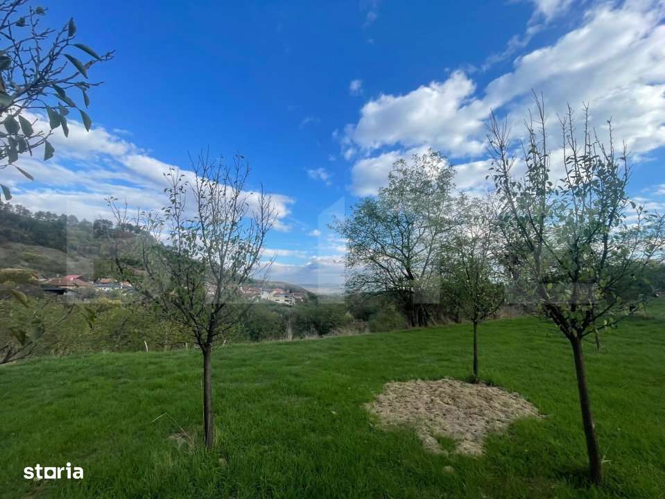 Teren Intravilan Paclisa, 1785mp - Imagine principală: 3/4