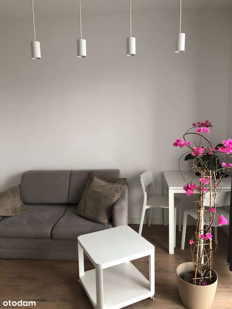 2 pokoje z miejscem postojowym POGOŃ - Pełny obrazek: 2/8