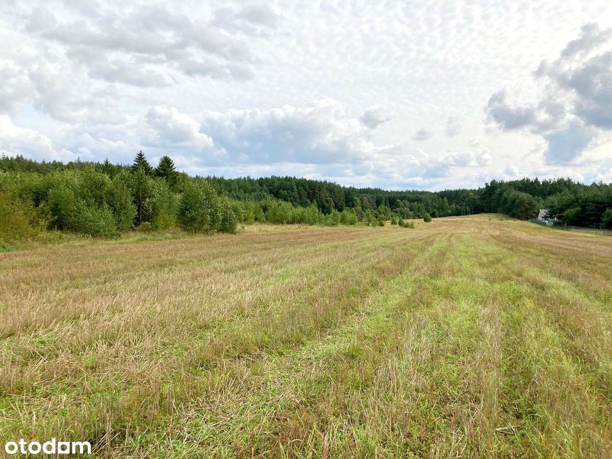 Działki Szteklin - OKAZJA wydane WZ-1