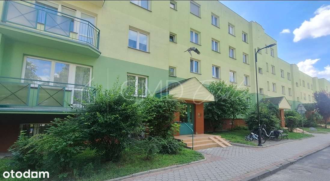, Spółdzielcza