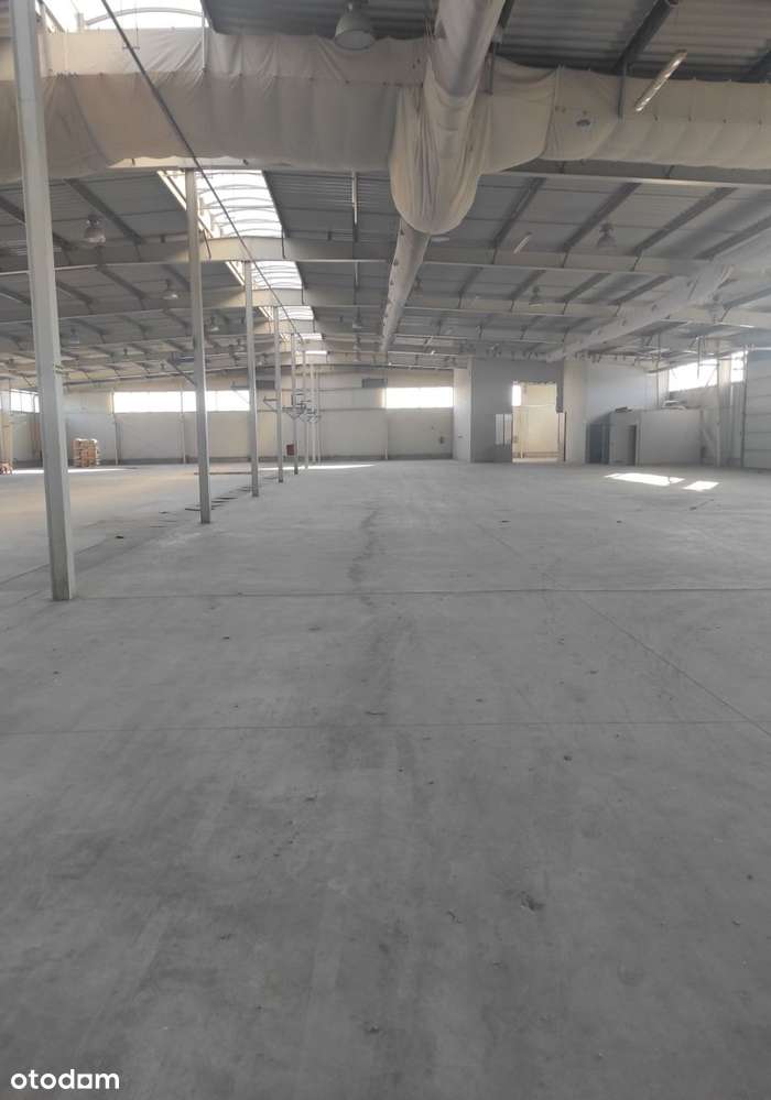 Hala magazynowo-produkcyjna-1