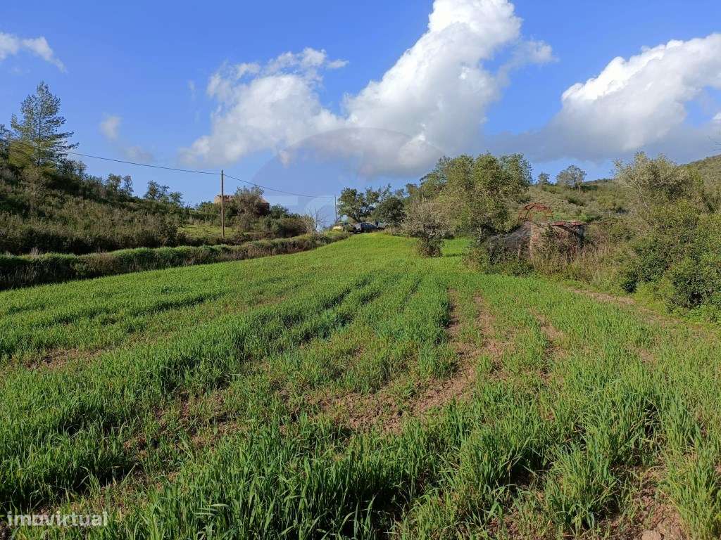 Terreno Misto com 2 Hectares em São Marcos da Serra, Silves - Grande imagem: 4/17