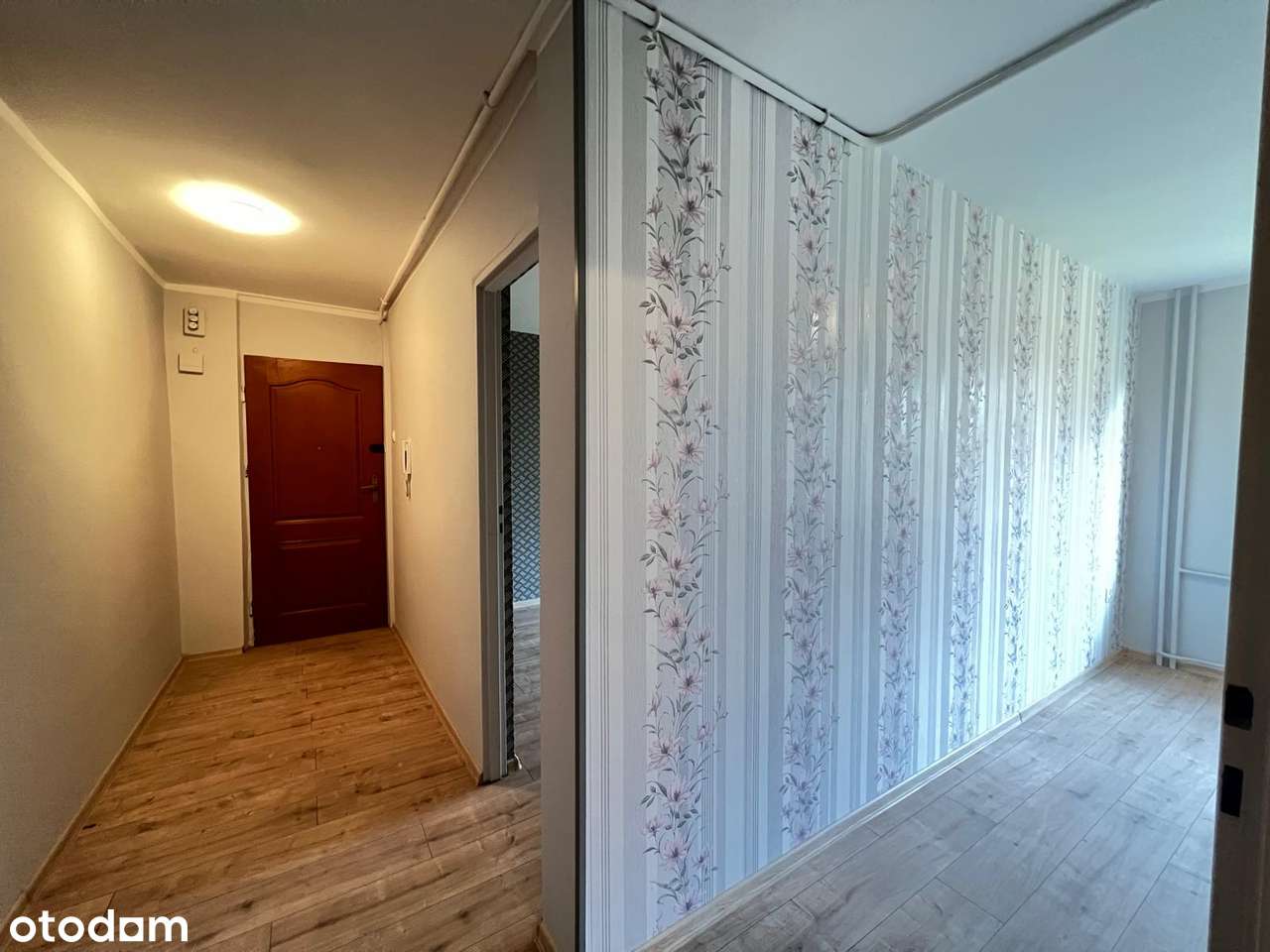 Kawalerka na parterze z osobna kuchnią i balkonem - Pełny obrazek: 5/6