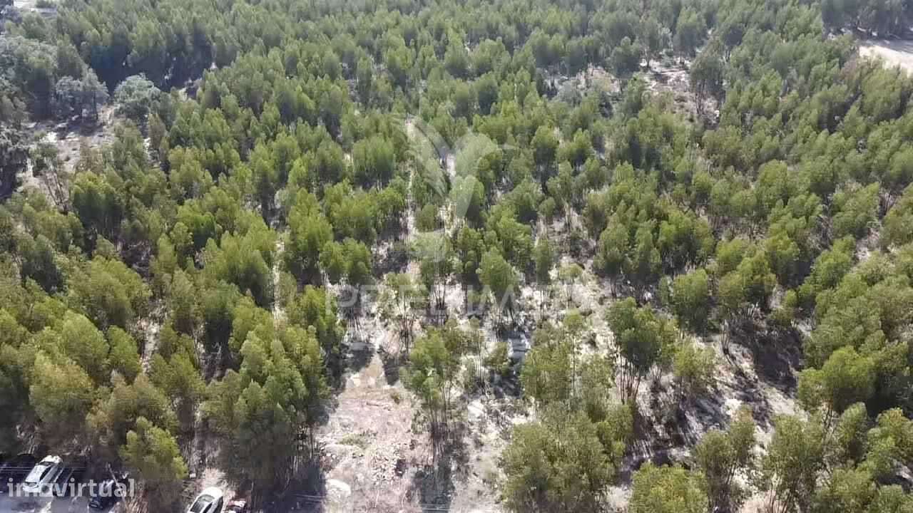 Lote de Terreno em Palmela - Grande imagem: 4/29