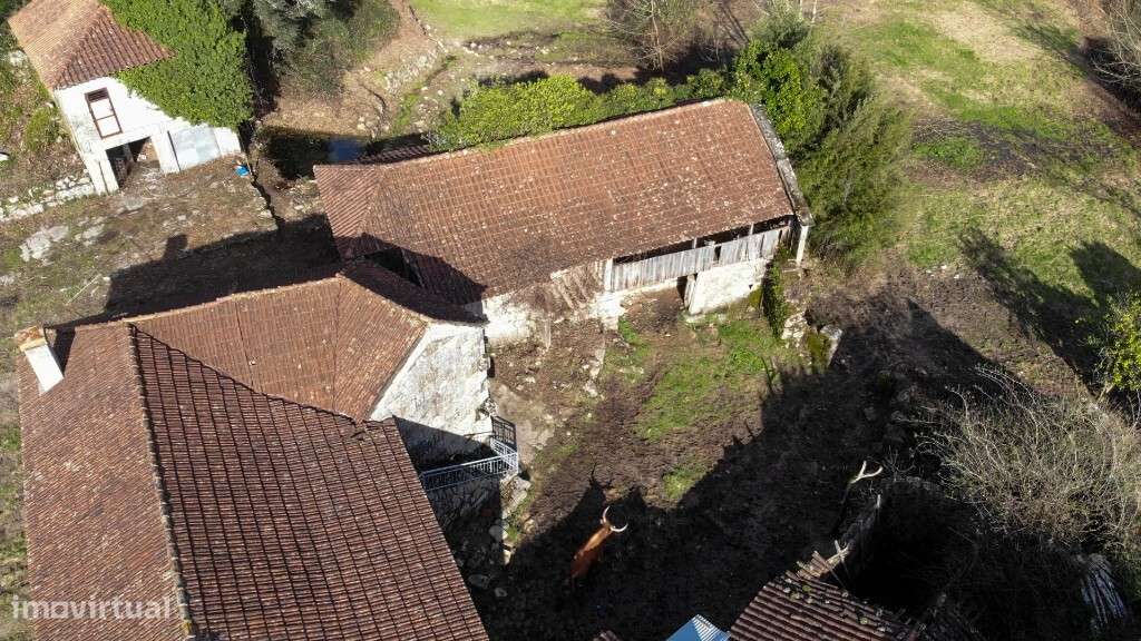 Quinta c/ Casa Senhorial p/ Restauro - Tabuaças - Grande imagem: 3/23